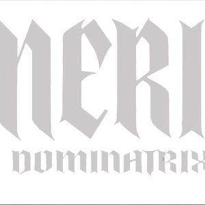 Fetish Domina AF. FEMDOM FEET PEGGING photo