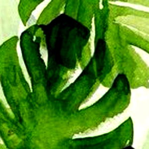 brat mahlia ๐๐ถ๏ธ photo