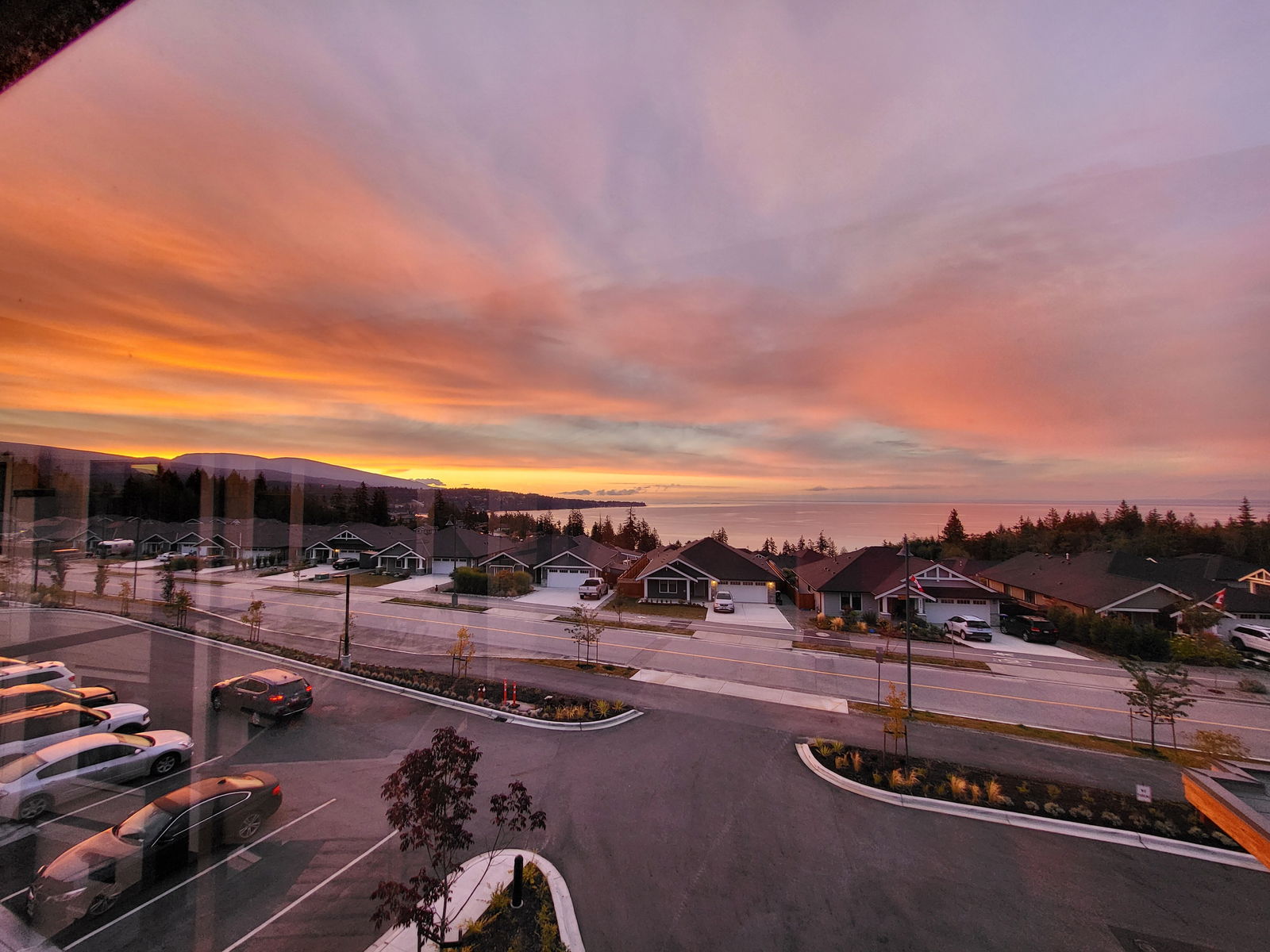 Little_Pegasus1995😈😈😈 photo