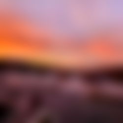 Little_Pegasus1995๐๐๐ photo