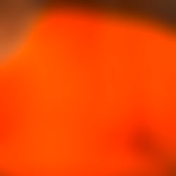 Sarah๐ซถ๐ฝ photo