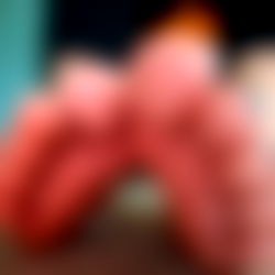 Pinksoleflower photo