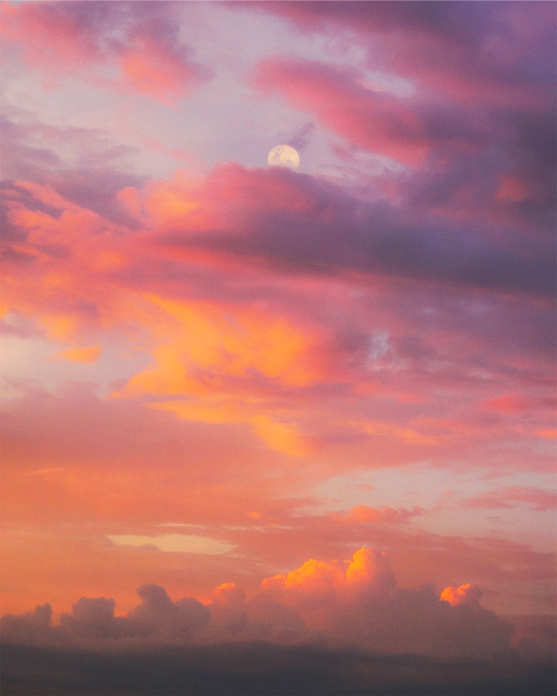 A Real Life Fairy 🧚🏽‍♀️ photo