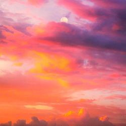 A Real Life Fairy 🧚🏽‍♀️ photo