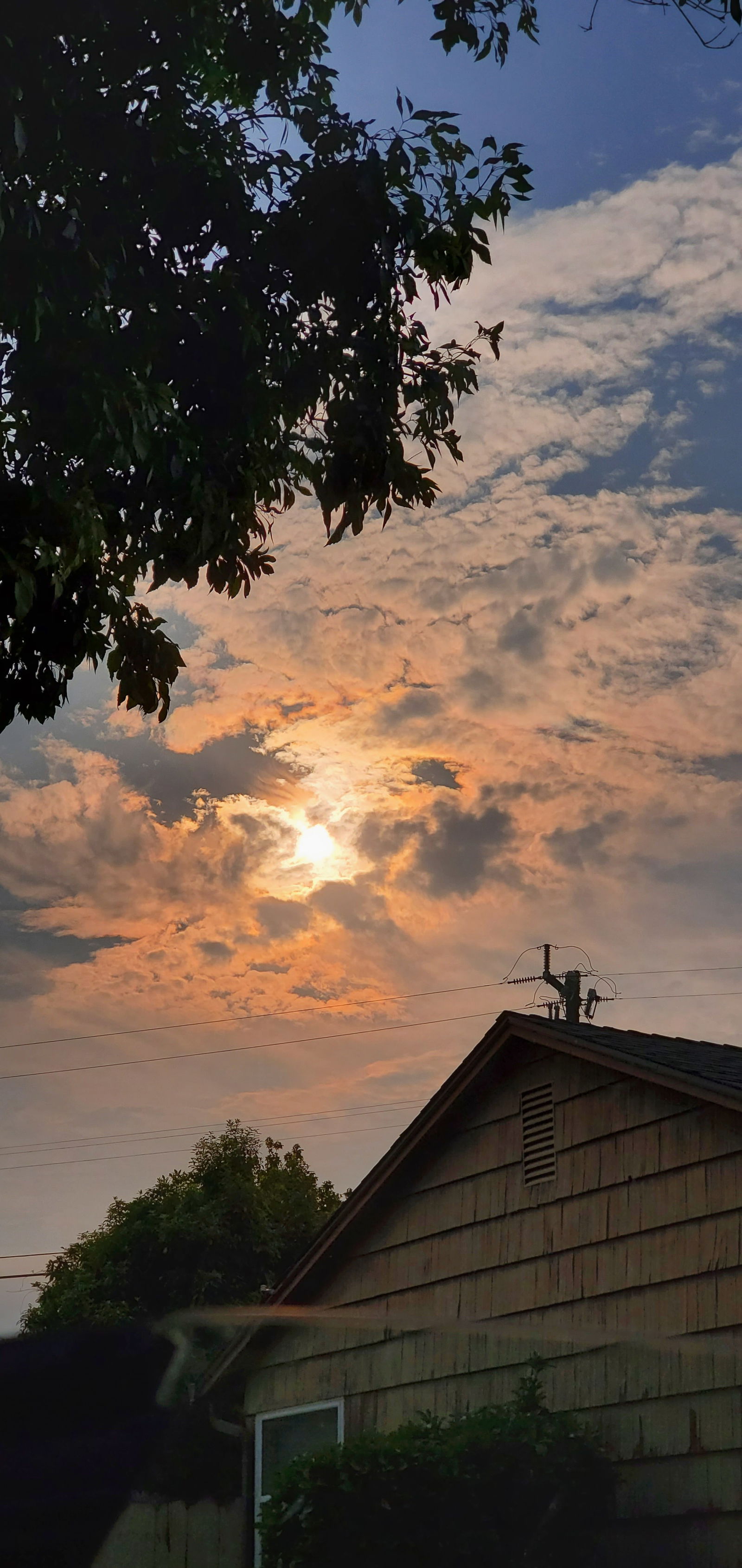 Big milky momma photo