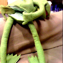 Kermit the Frog as OnlyFans Model