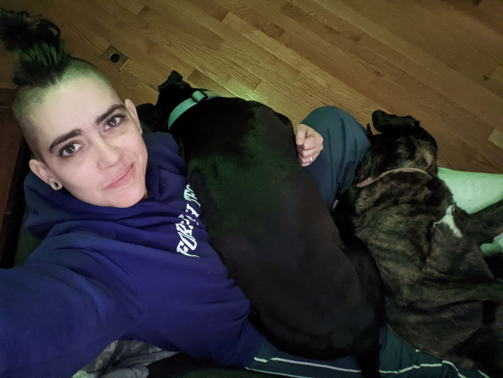 Shiloh Strange - $4.99 photo