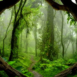 🥀 Eden 🥀 photo