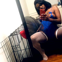 Exploring the Urban Jungle: A Model's Perspective