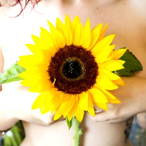 Sunflower photo