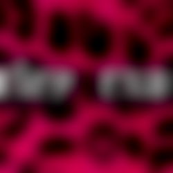 Harleyโ ๏ธ๏ธ โฐ photo