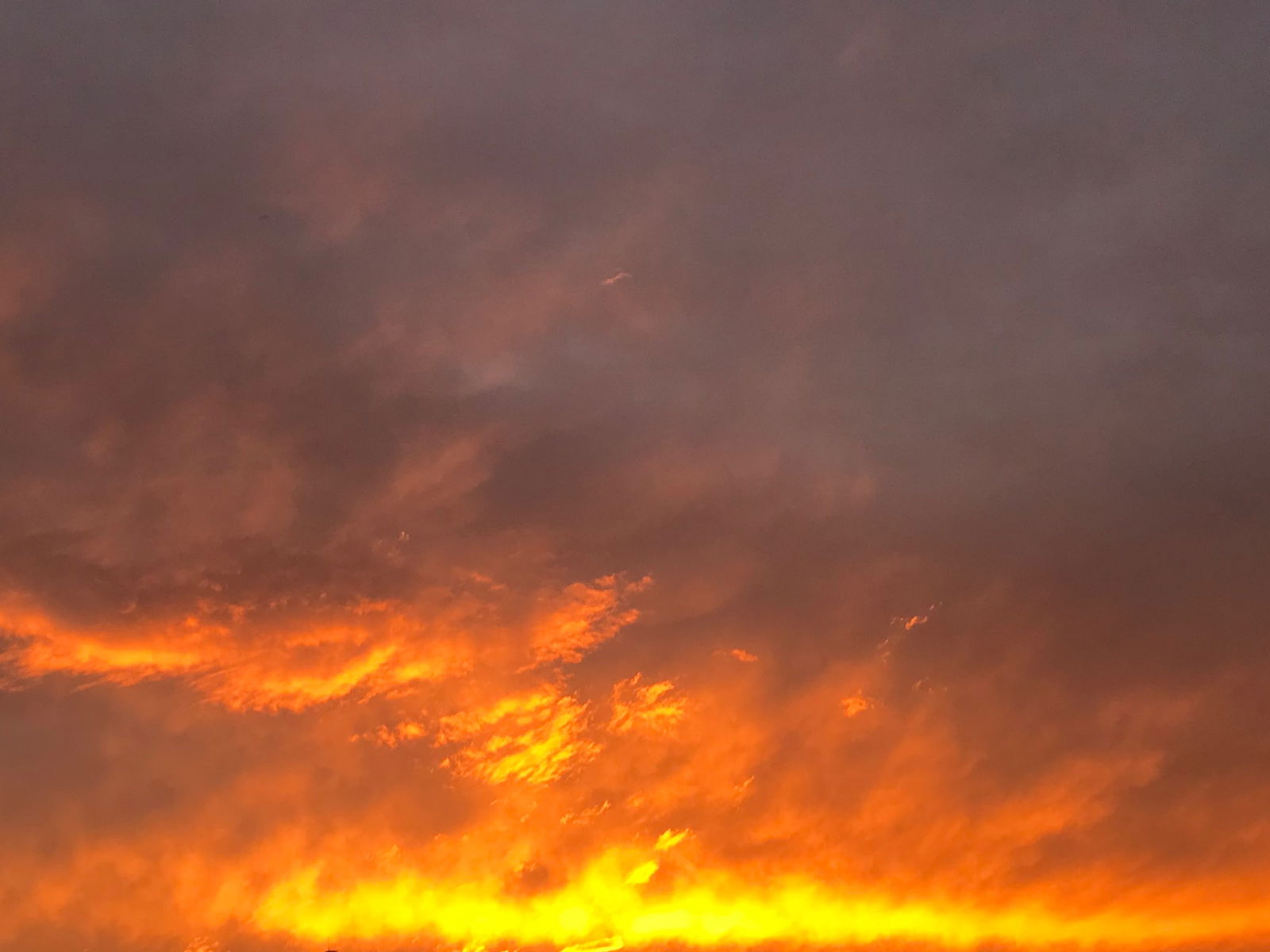 Isabella Fontenna 💖 photo