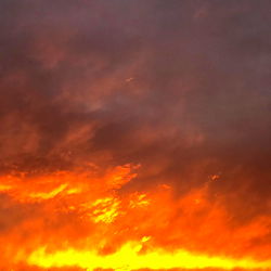 Isabella Fontenna 💖 photo