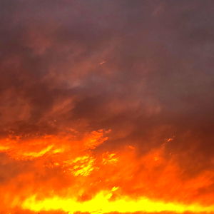 Isabella Fontenna ๐ photo