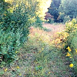 N A T U R E B A B E S photo