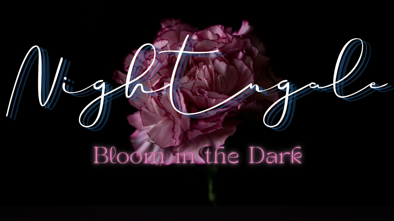 ✴⋆  𝓝𝓲𝓰𝓱𝓽𝓷𝓰𝓪𝓵𝓮   ⋆✴ photo