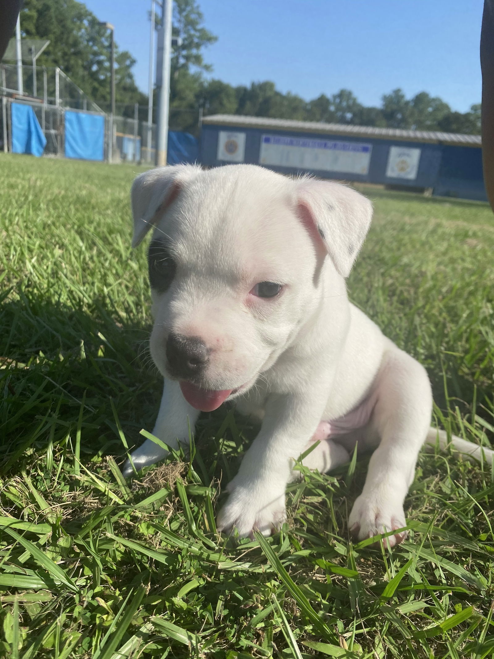 Errrthang_Yanot photo