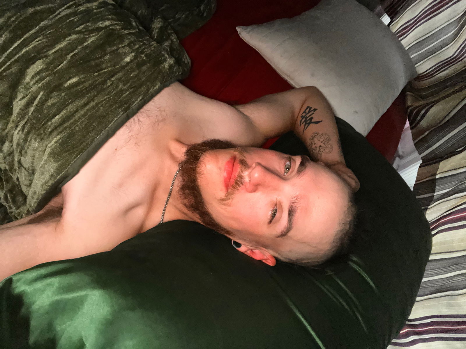 TheNordicDruid photo