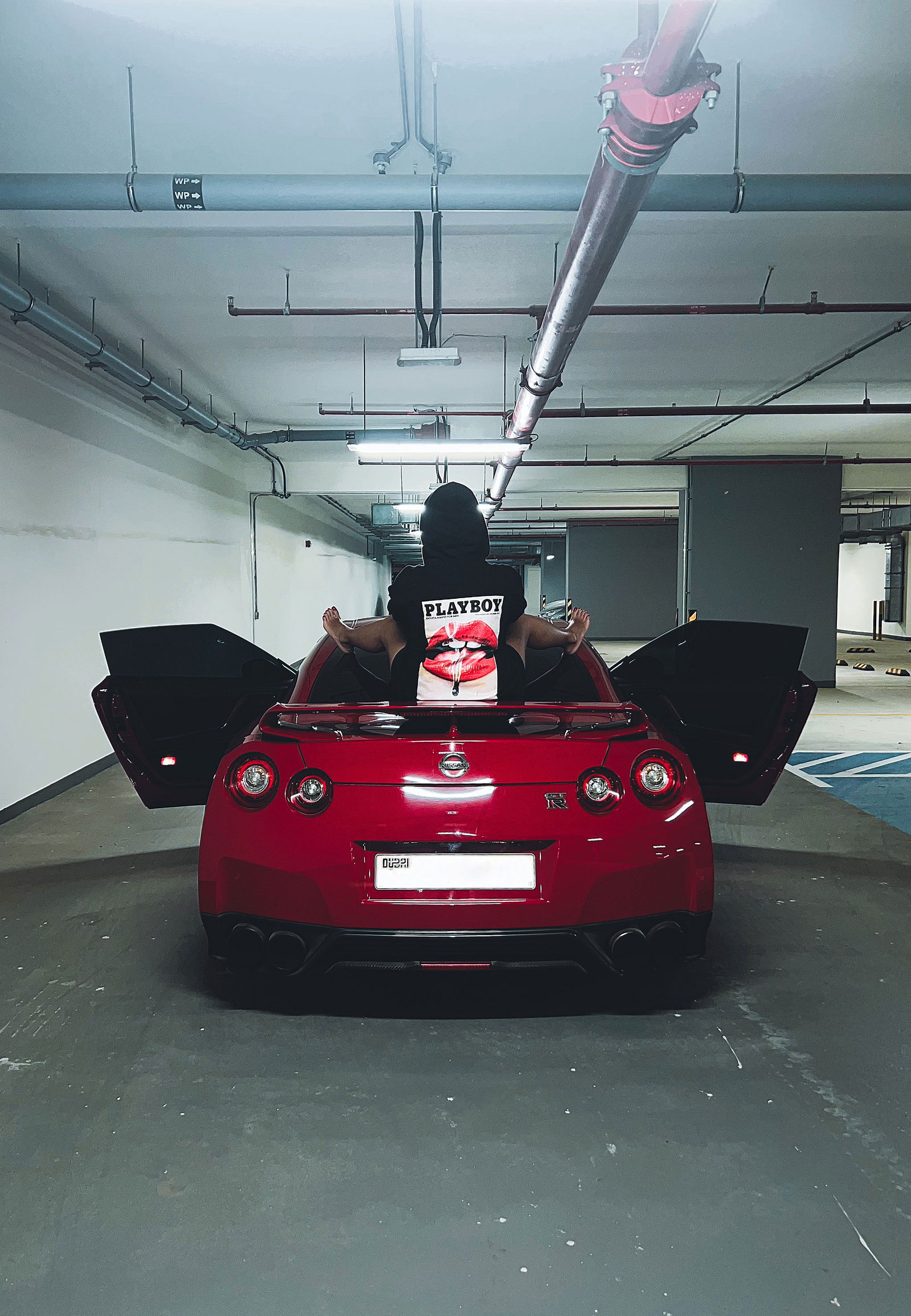 StallionFree 🐎 أدوّر فحل photo