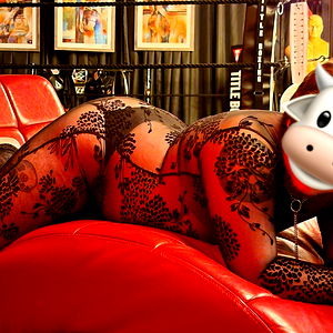 Angus Ardor ๐ณ๏ธโโง๏ธ photo