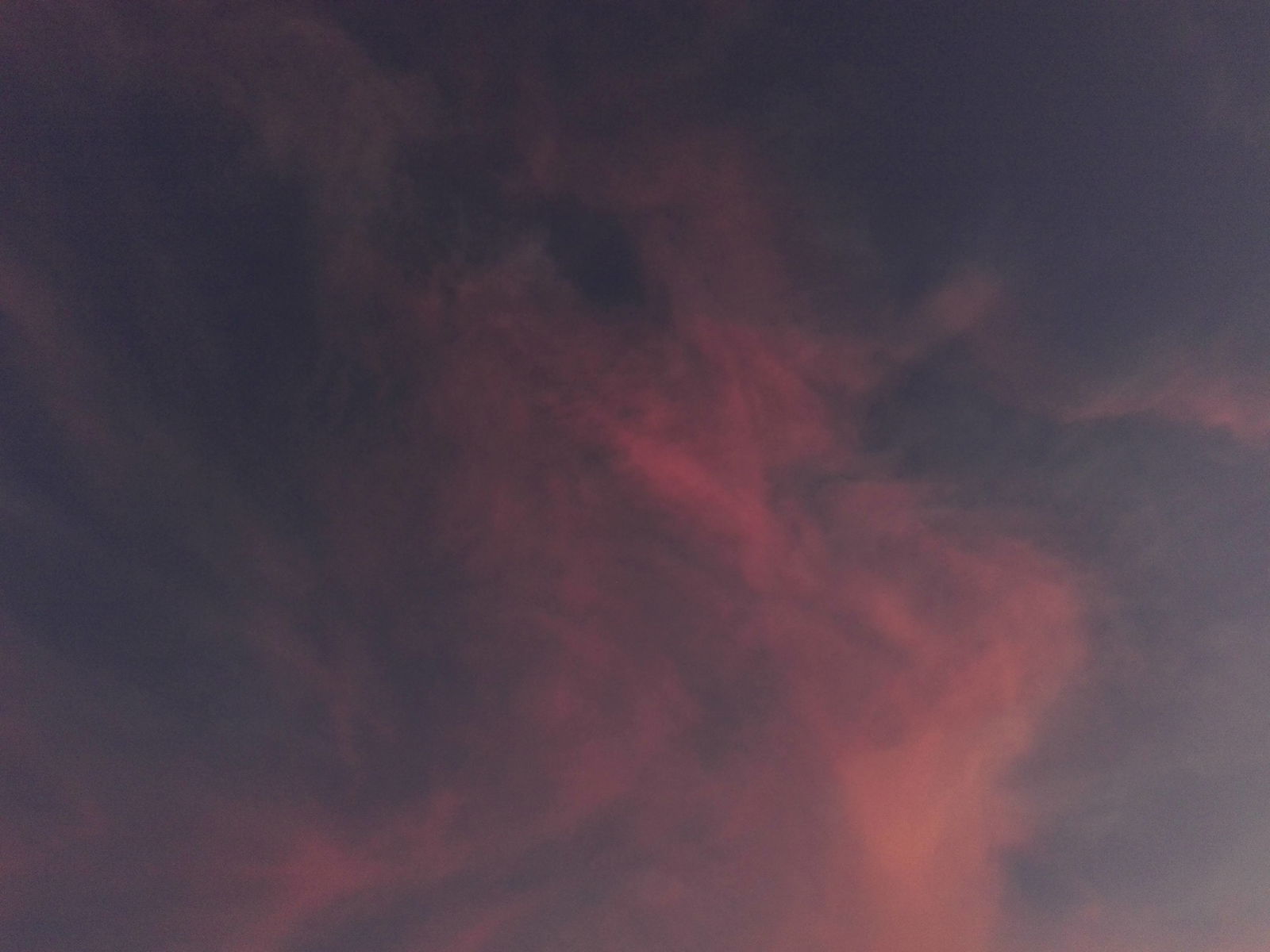 Anastasia Dream photo