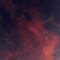 Anastasia Dream photo