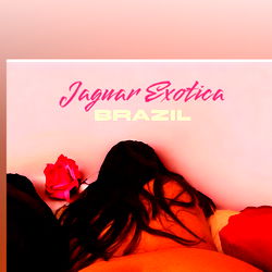 Jaguar Exotica photo