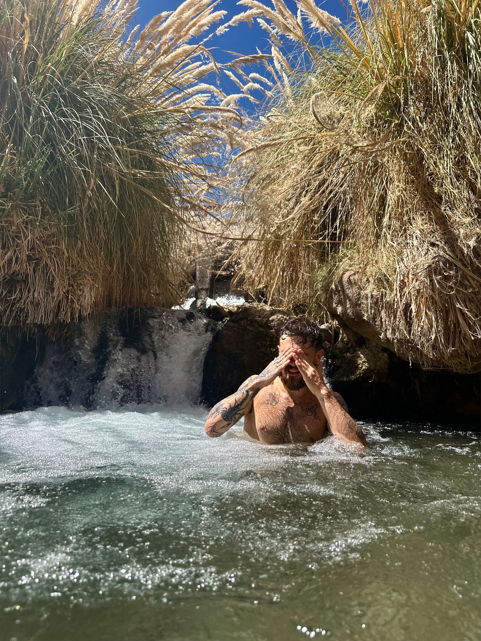 Felippe Masson photo