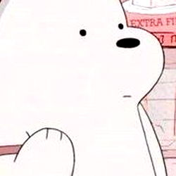 polar 🏳️‍🌈 photo