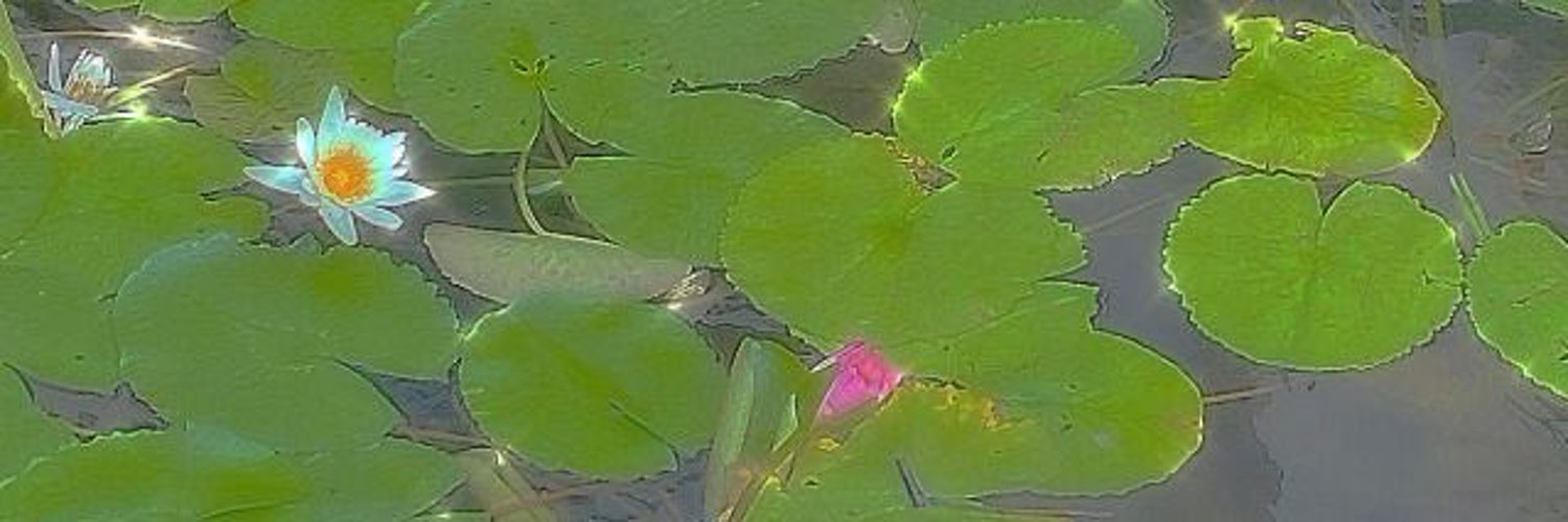 𝘥𝘪𝘤𝘦 ❧ (pixar mom) photo