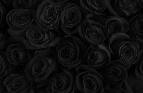 your internet girlfriend 🩵 photo