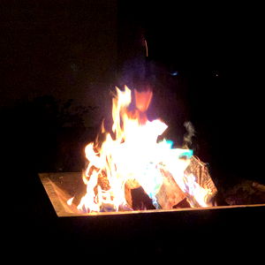 Queen of Heart5 photo