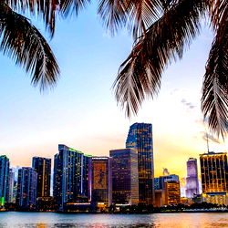 Amber Jaee 🍯 photo