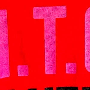 Valentine Vidal photo