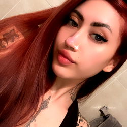 🦊 Savage Fox 🦊 photo