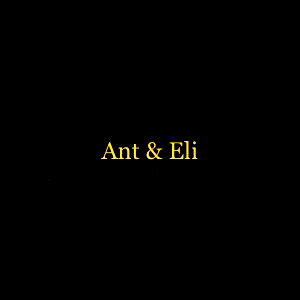 Ant & Eli photo