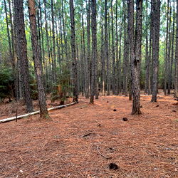 Hunt&amp;Ride🤘 photo