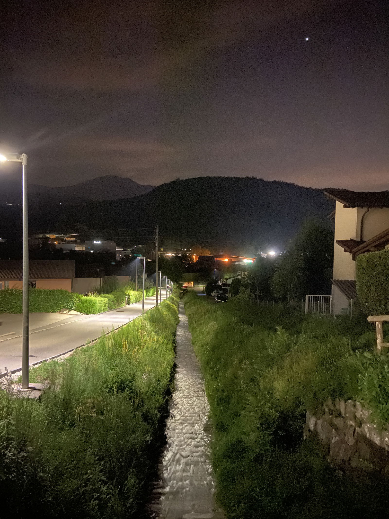 Leon King 🦁😏 photo