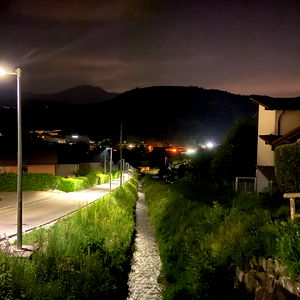 Leon King ๐ฆ๐ photo