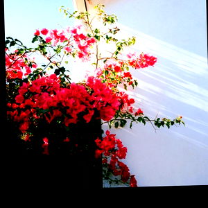 โจ๏ธ๐ photo