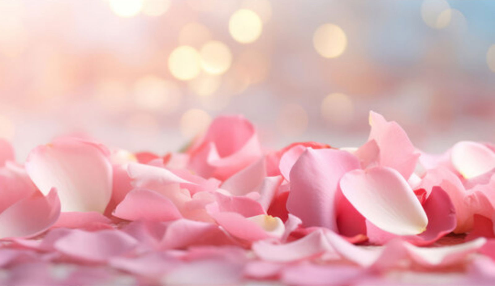 Samantha Morgan photo