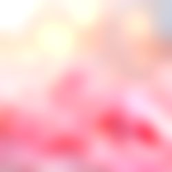 Samantha Morgan photo