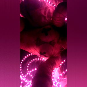 Princess Ella๐งธ photo