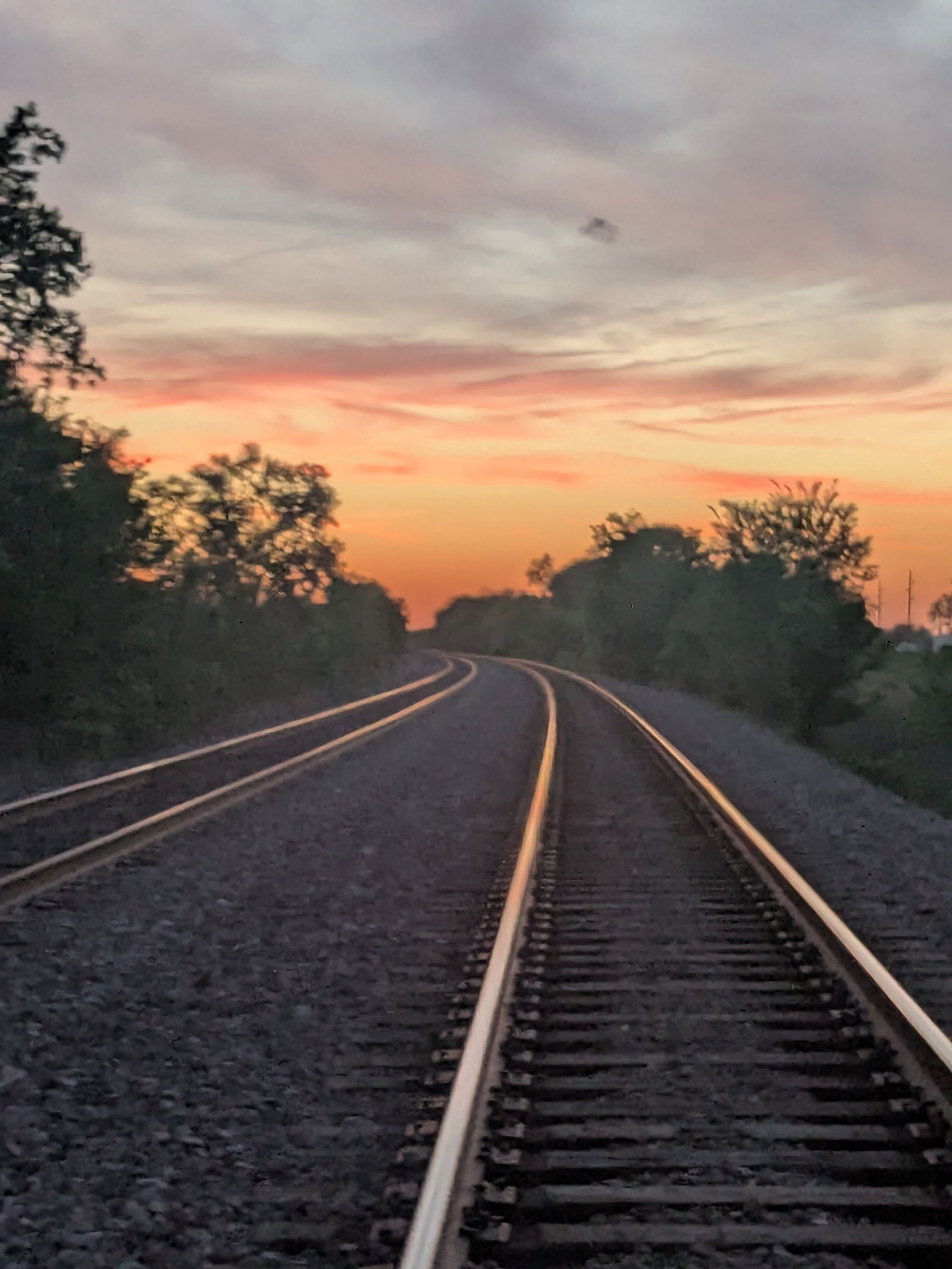 Alizabeth ✨🐈‍⬛✨ photo