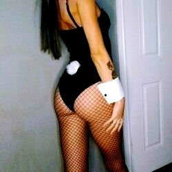 Dommesugarapicelia photo