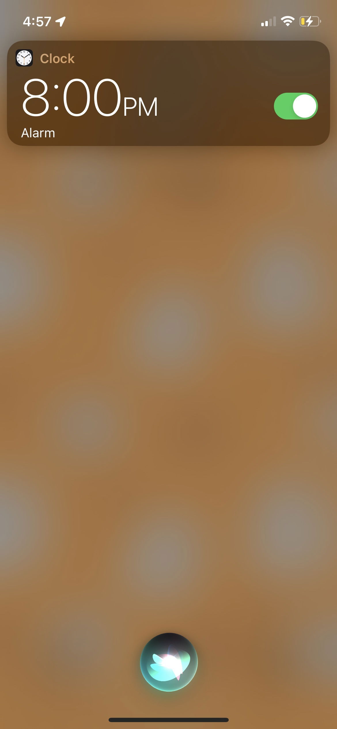 Andrew Michaels photo