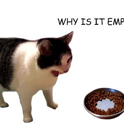 Jordan Scott 😛 photo