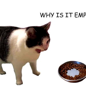 Jordan Scott ๐ photo