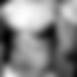 Anderson Storm VIP โ๏ธ photo