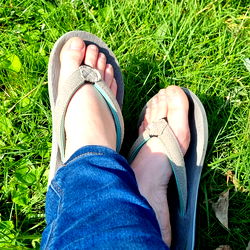 Vivid Summer Solitude